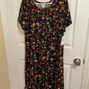LuLaRoe Floral Carly - XL BNWT